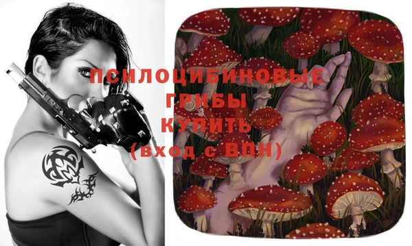 хмурый Волосово