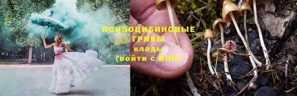 хмурый Волосово
