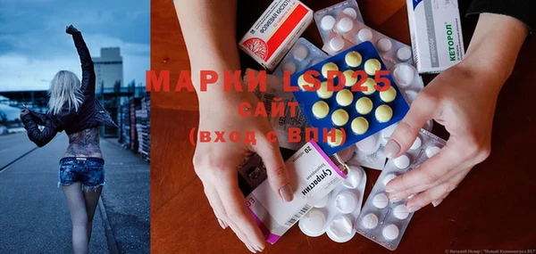 прущие грибы Володарск
