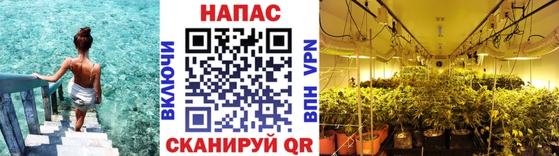 МАРИХУАНА тримм  Купить  Будённовск 